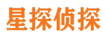 兴文市调查公司